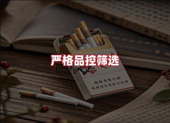 专业团队
